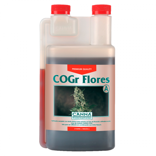Cogr Flores A Canna