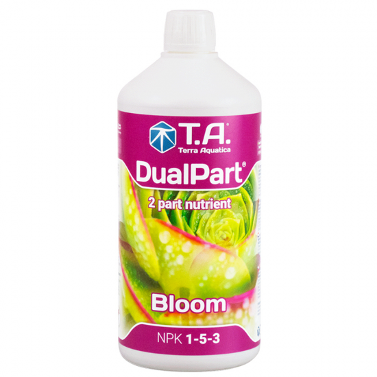 Floraduo Bloom GHE