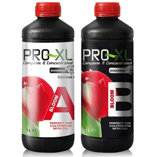 Bloom A&B Pro-XL