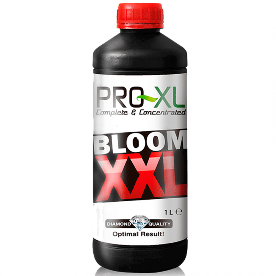 Bloom XXL Pro-XL