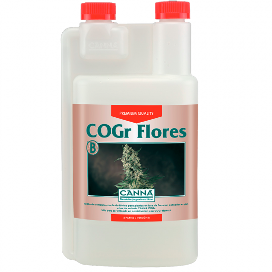Cogr Flores B Canna