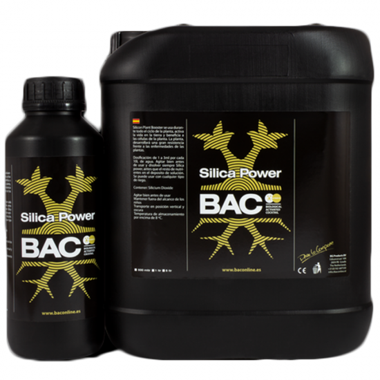 Silica Power (BAC)