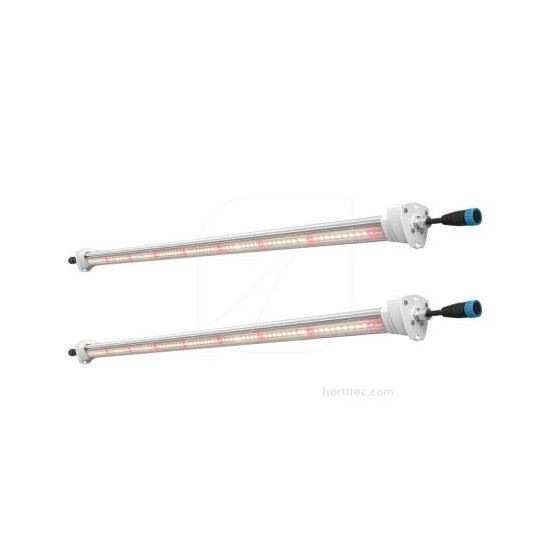 LED Inter Canopy Solux
