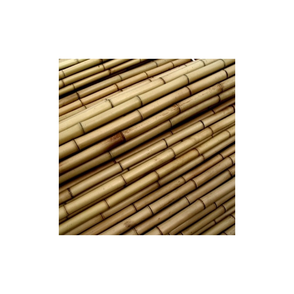 Tutores Bambu