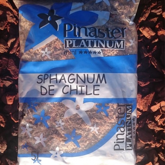 Sphagnum de Chile Platinum saco 5L Pinaster