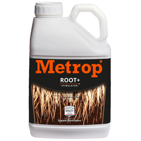 Root+ Metrop