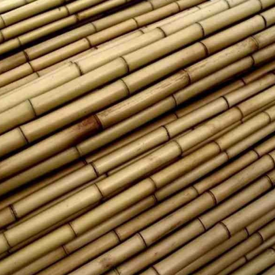 Tutores Bambu